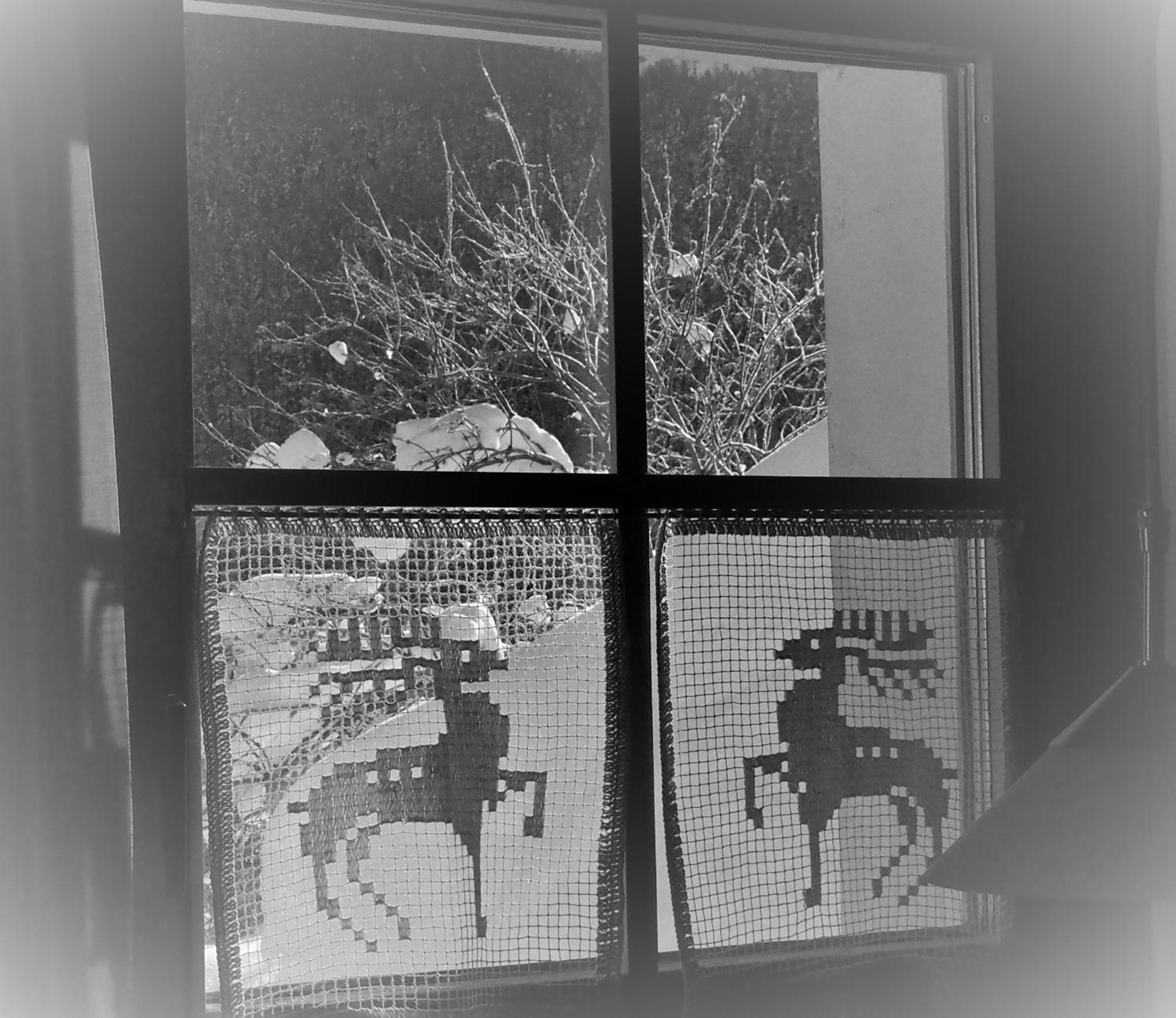 Chesa Sper L'Ovel Brail Apartment Zernez Bagian luar foto