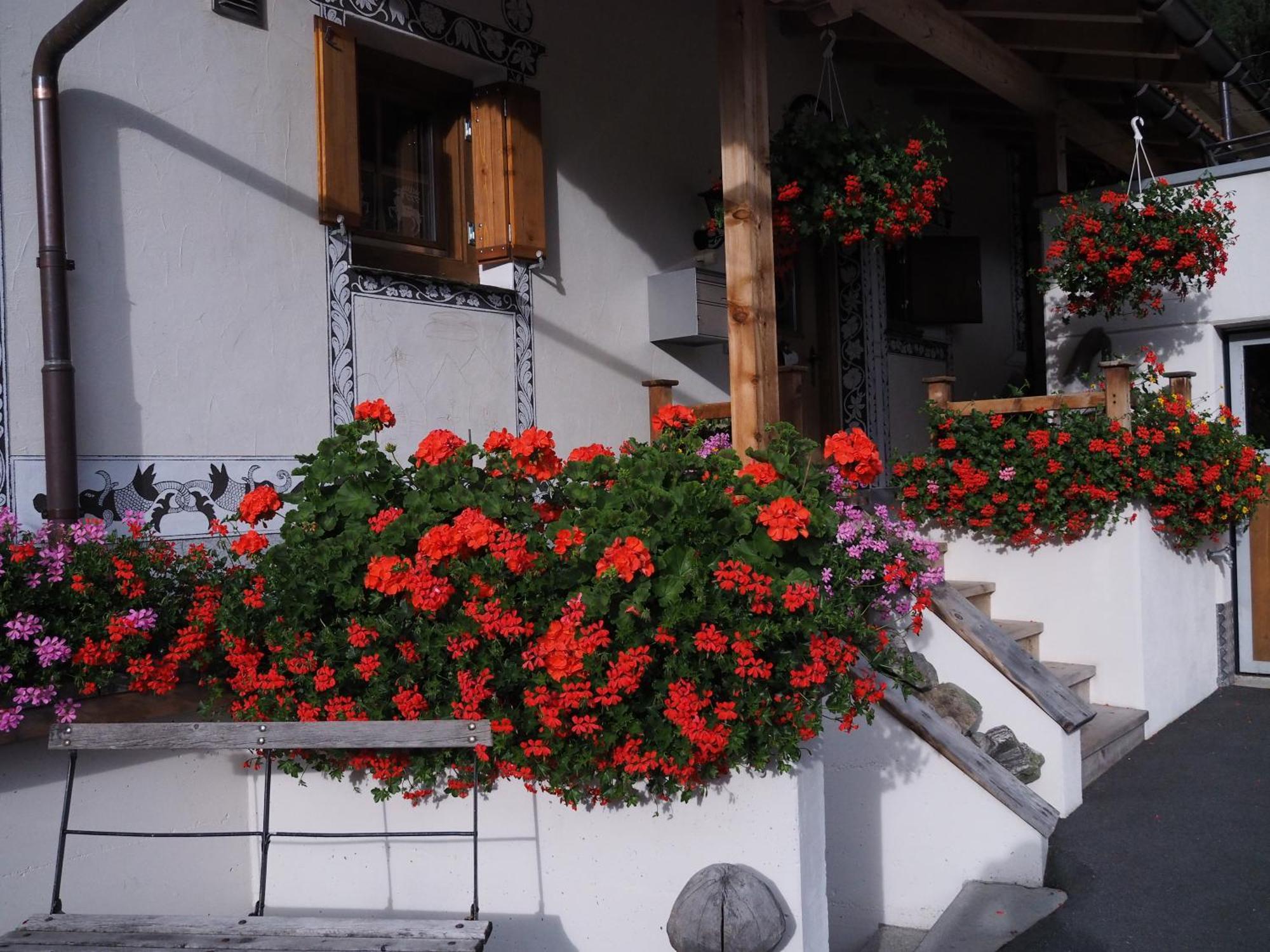 Chesa Sper L'Ovel Brail Apartment Zernez Bagian luar foto
